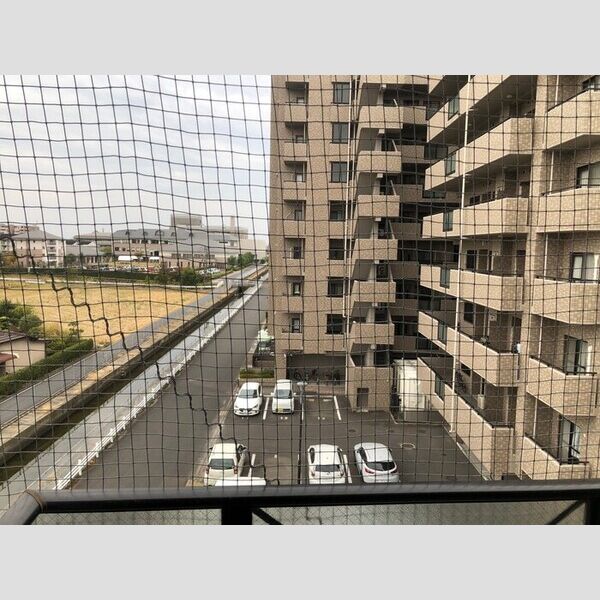 現地周辺