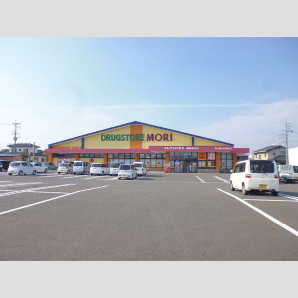 現地周辺 (ドラッグストアモリ鹿島末光店 602m)
