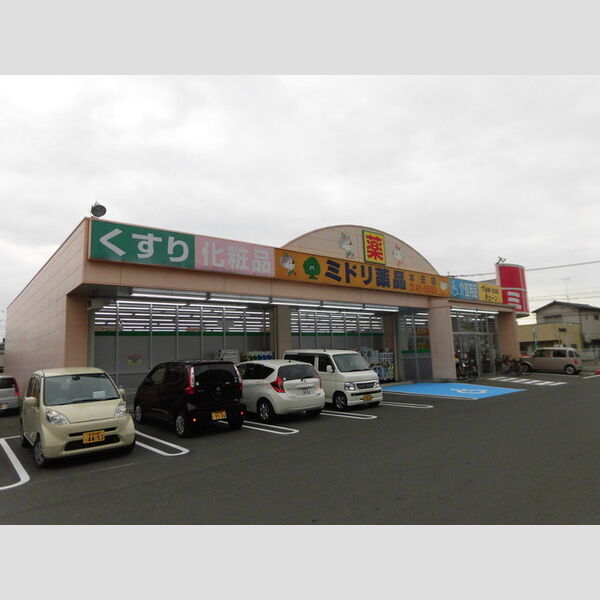 現地周辺 (ミドリ薬品270m)