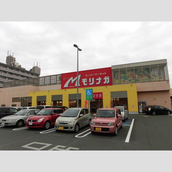 現地周辺 (スーパーモリナガ本庄店　270m)