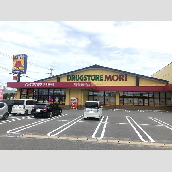 現地周辺 (ドラッグストアモリ　高木瀬東店　270m)