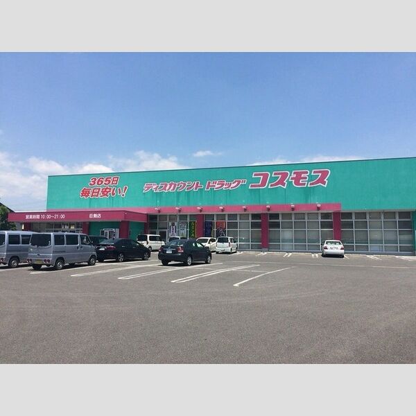 現地周辺 (ドラッグコスモス巨勢店　1000m)