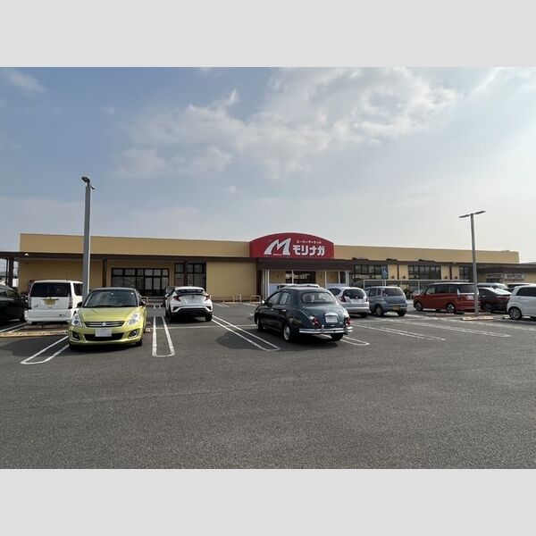 現地周辺 (スーパーモリナガ高木瀬店　1190m)