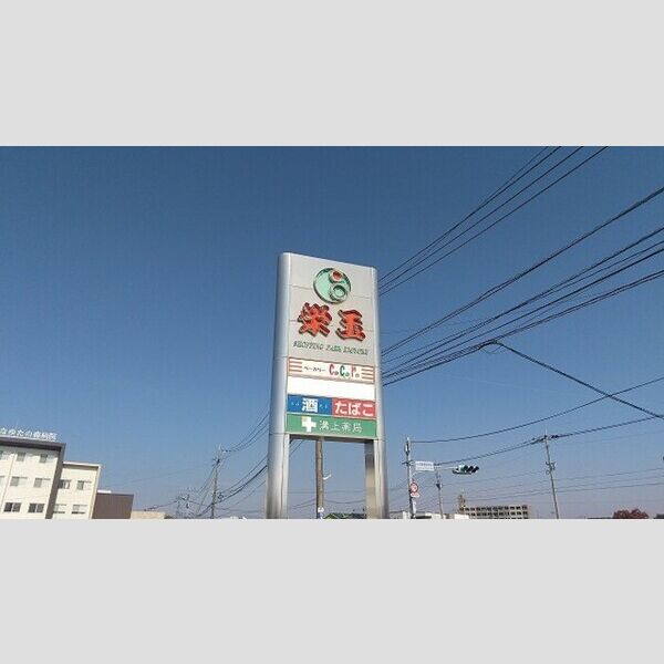 現地周辺 (栄玉本庄店まで1017m)