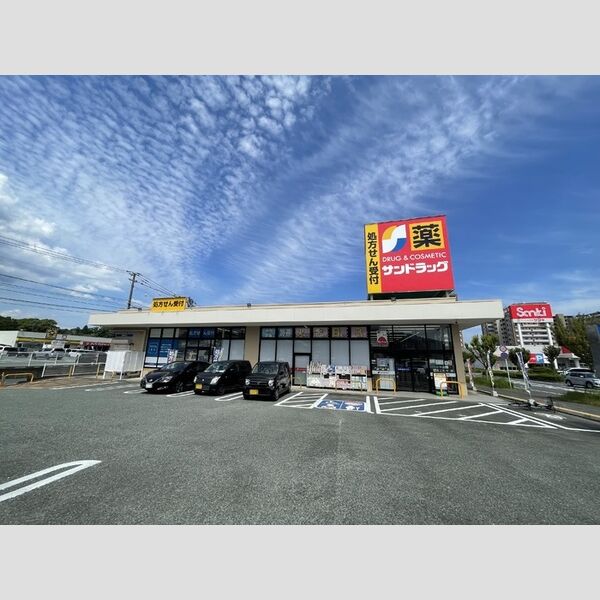 現地周辺 (サンドラッグ弥生が丘店 610mm)