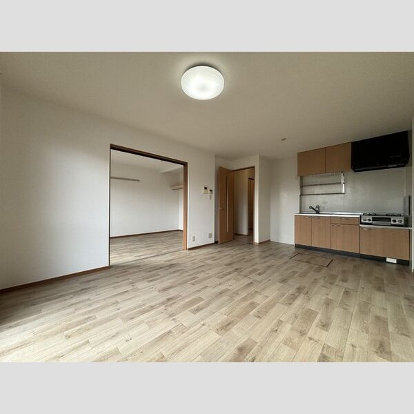 その他 (LDK～洋室)