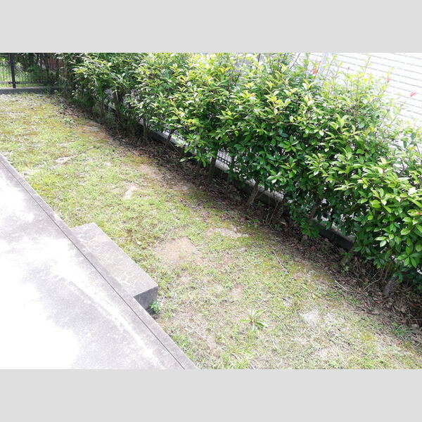 その他 (103　専用庭)