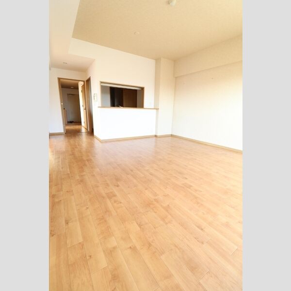 居室・リビング (1001　LDK)