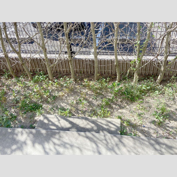 その他 (102　専用庭)