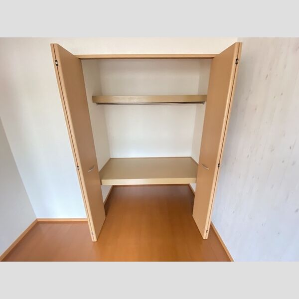 収納 (203号　クローゼット)