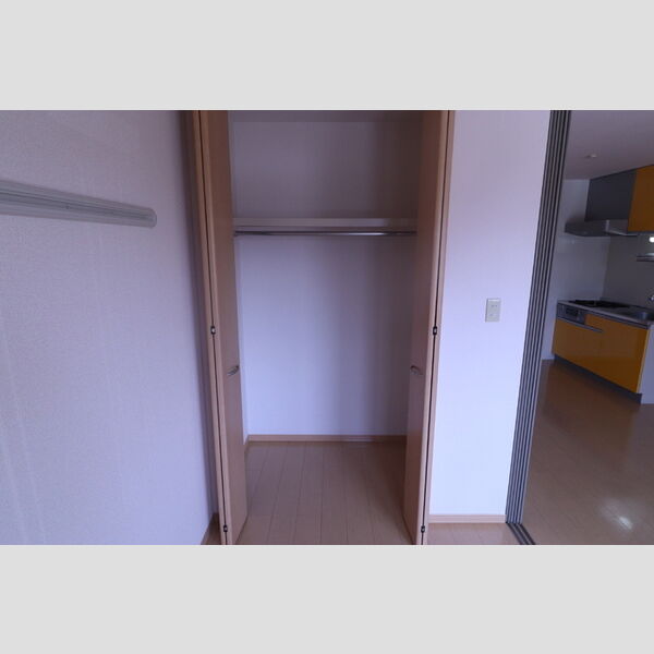 収納 (クローゼット)