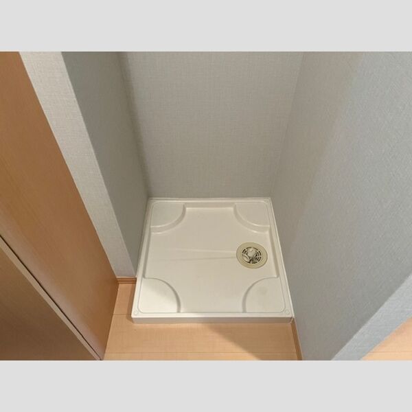 その他 (室内洗濯機置場上)