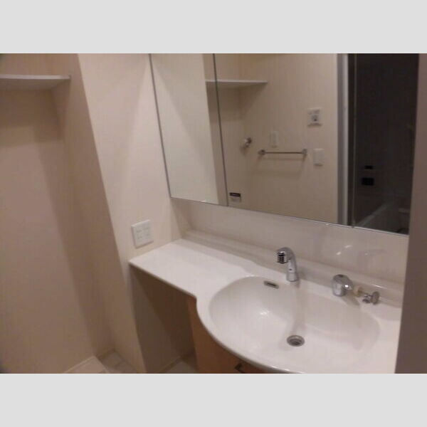 洗面所 (洗髪洗面化粧台)