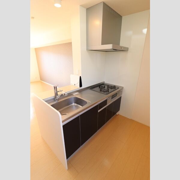 キッチン (203　システムキッチン)