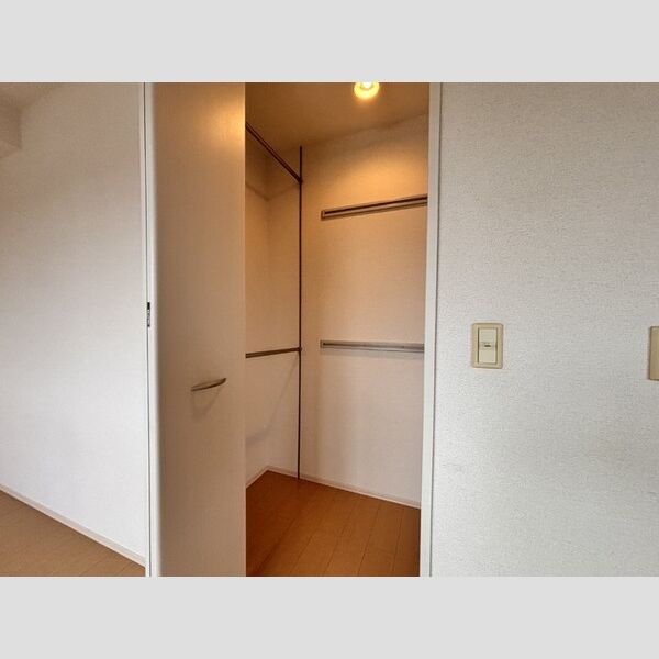 収納 (洋室収納)