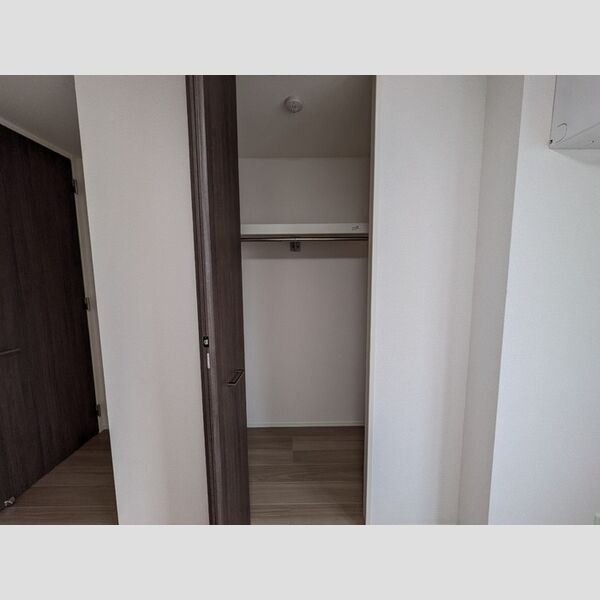 収納 (南東洋室収納)