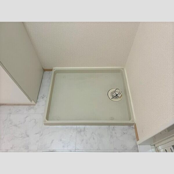 その他 (室内洗濯機置場)