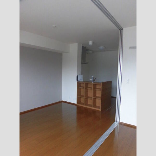 居室・リビング (101　LDK(対面式キッチン))