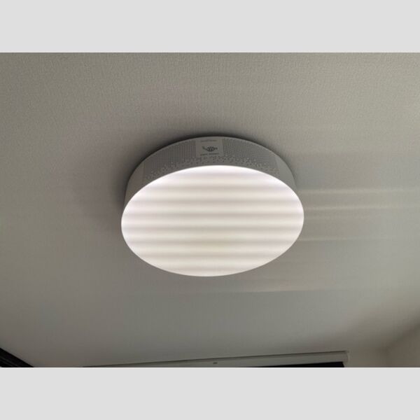 その他 (B302　POPインアラジン)