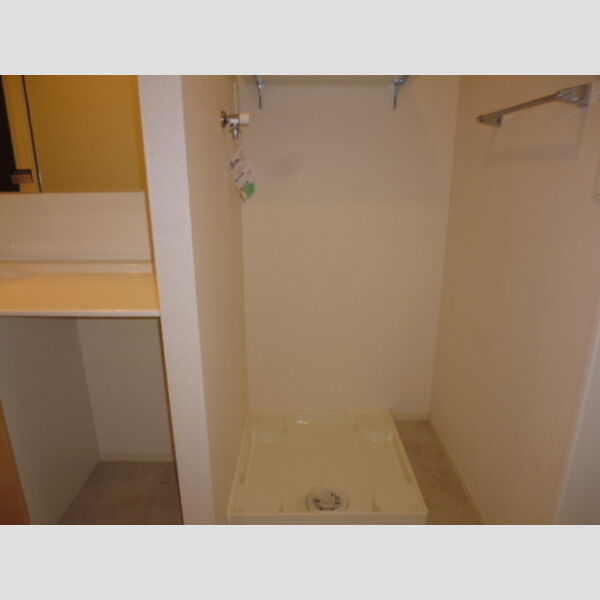 その他 (室内洗濯機置き場)