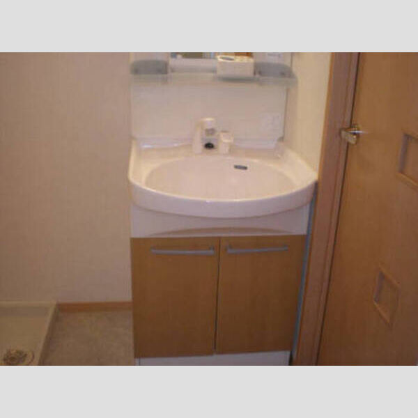 洗面所 (セイシェル・大山B棟103 洗面室)