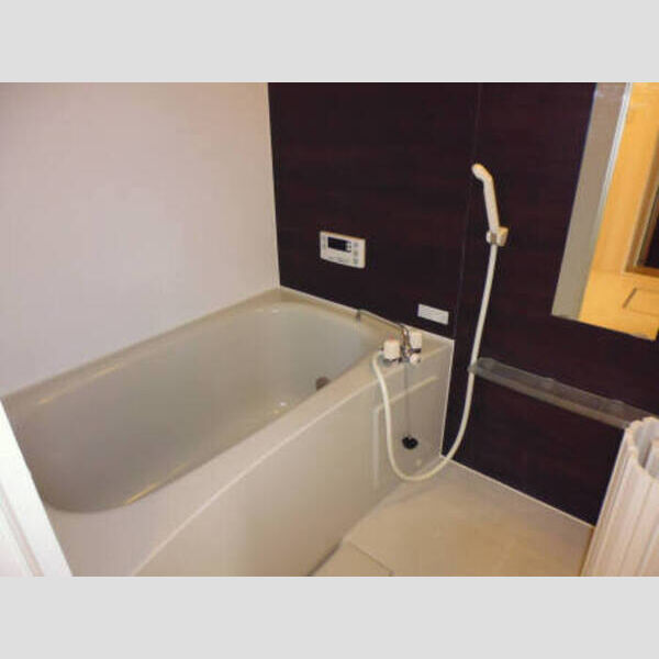 バス (206リシェス16 浴室)