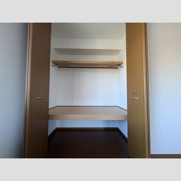 収納 (北側洋室収納)