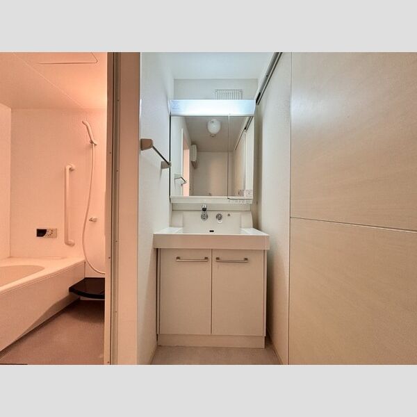 洗面所 (洗面所)