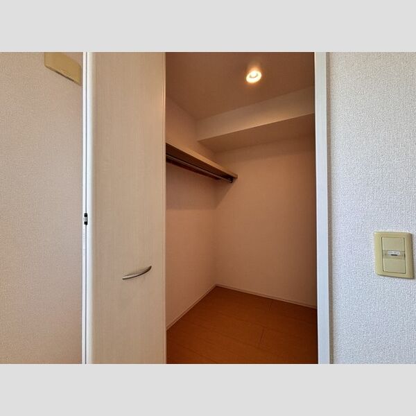 収納 (北側洋室収納)