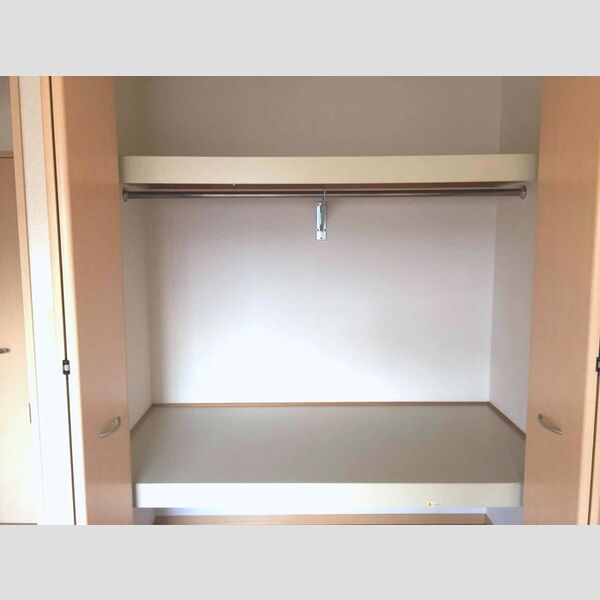 収納 (収納/洋室)