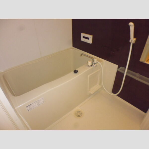 バス (C206 浴室)