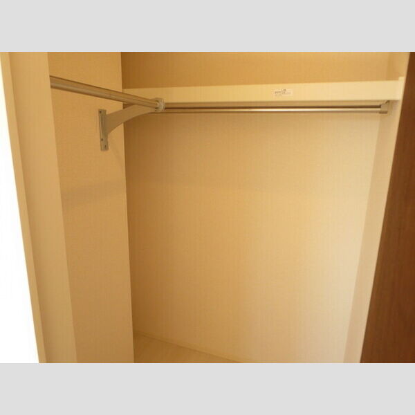 収納 (4帖洋室ウォークインクローゼット)