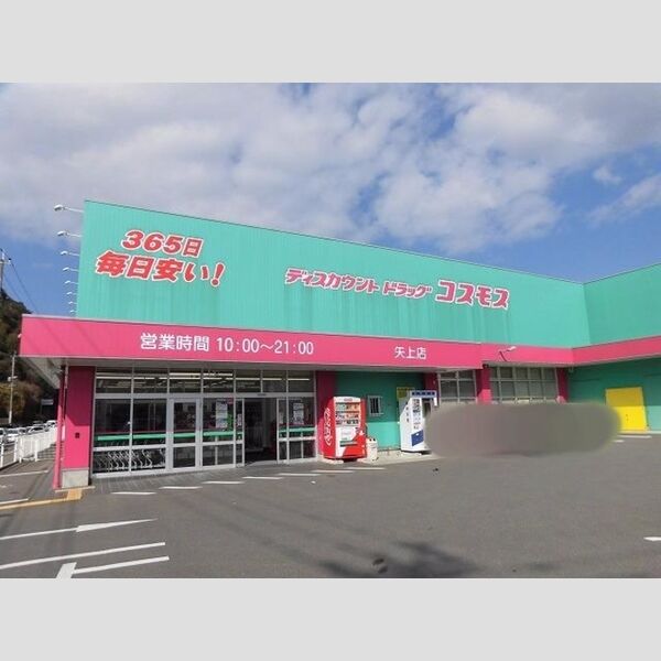 現地周辺 (コスモス矢上店まで304m(徒歩4分))