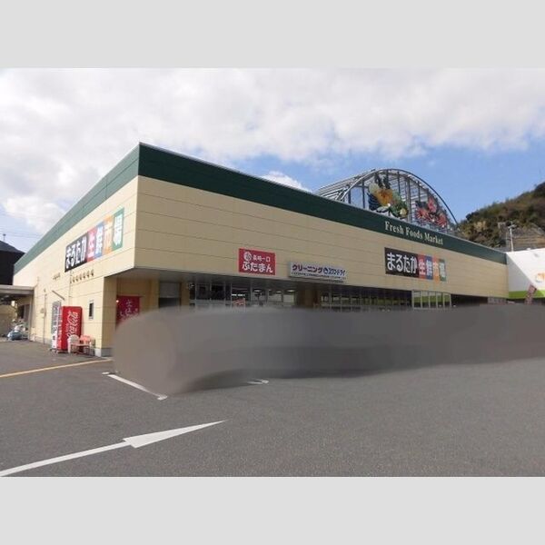 現地周辺 (まるたか生鮮市場東長崎店まで558m(徒歩7分))