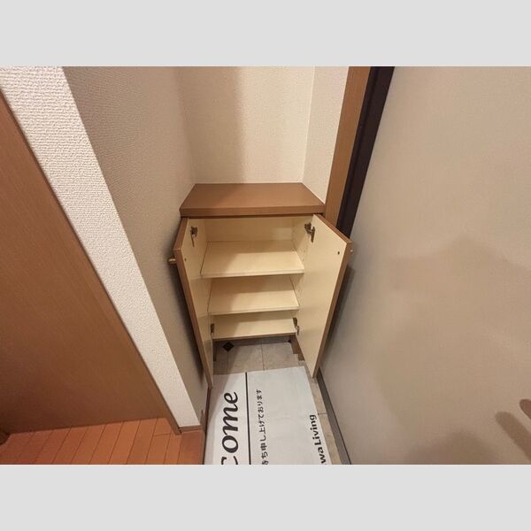 収納 (シューズボックス(カウンタータイプ))