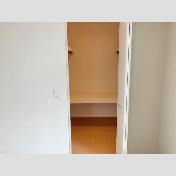 収納 (A　ウォークインクローゼット)