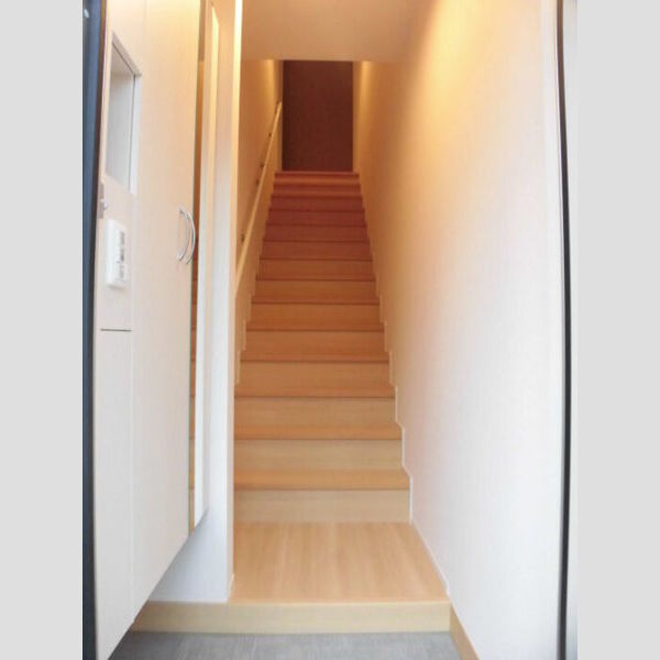 玄関 (トールタイプのシューズボックス(ミラー付き))