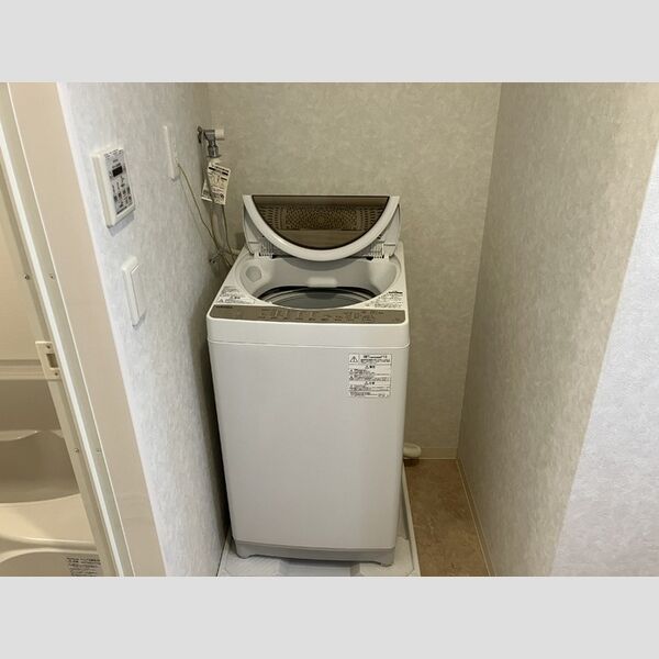その他 (洗濯機)