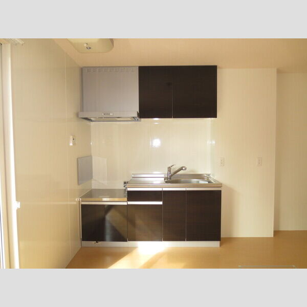 キッチン (フラワーヒルズ101　キッチン)