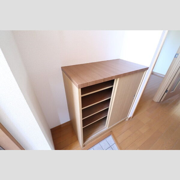 玄関 (シューズボックス)