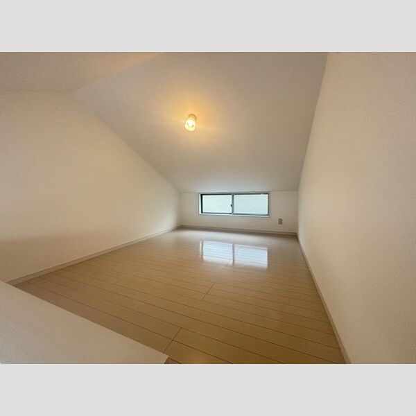 その他 (小屋裏収納)