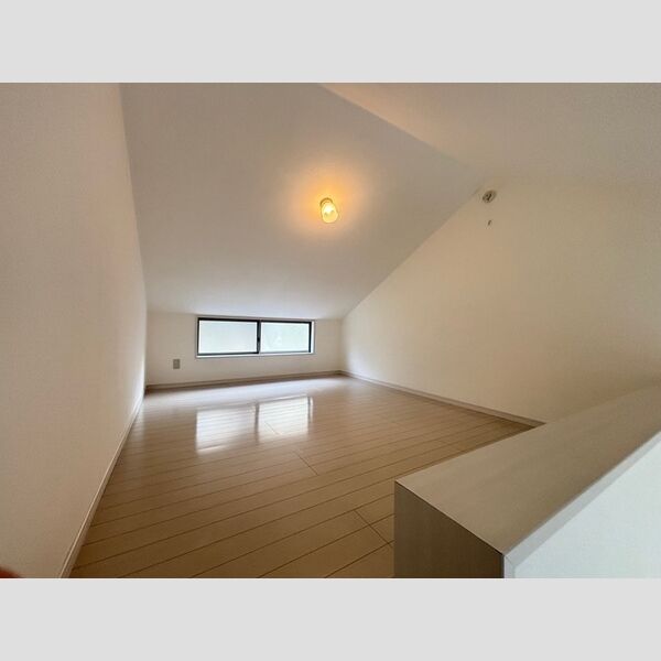 その他 (小屋裏収納)