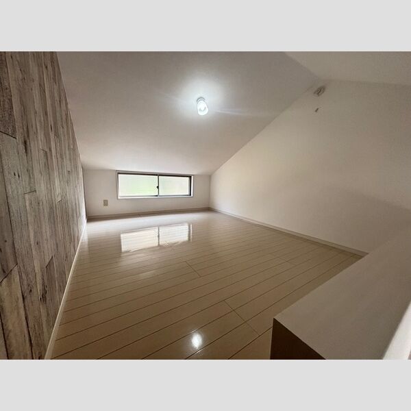 その他 (小屋裏収納)