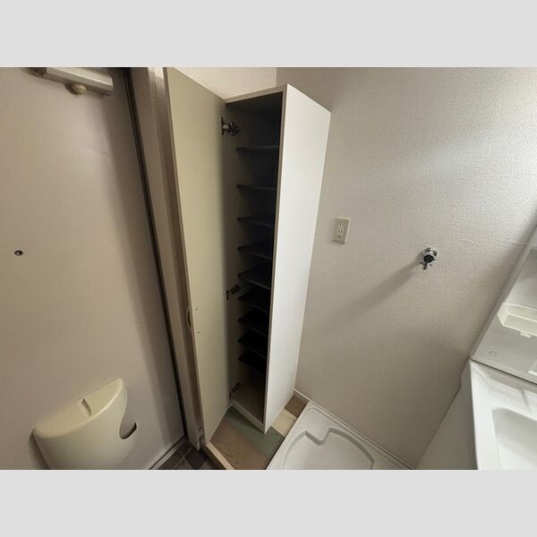 収納 (シューズボックス(トールタイプ))