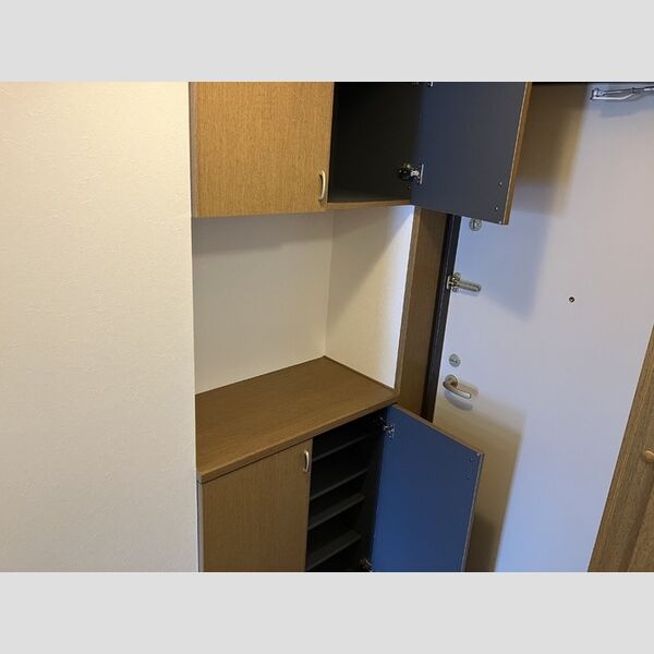 収納 (シューズボックス(カウンタータイプ))