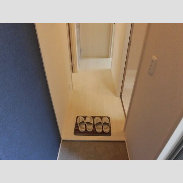 玄関 (ルミエールカーサ102　玄関)