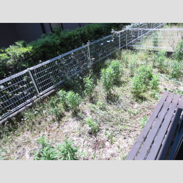 その他 (101　専用庭)