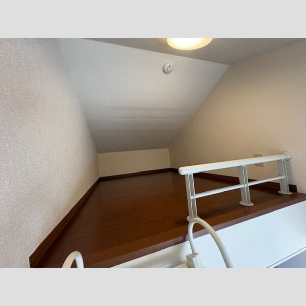 その他 (小屋裏収納)