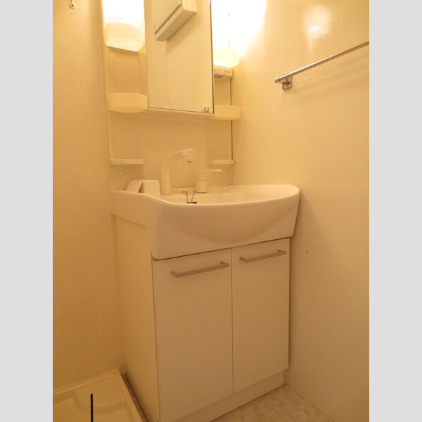 洗面所 (102　室内　洗面化粧台)