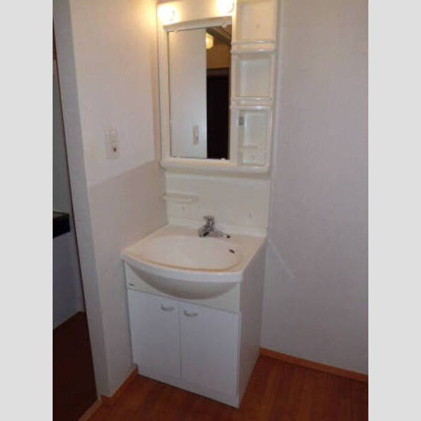 洗面所 (A棟201　洗面化粧台)